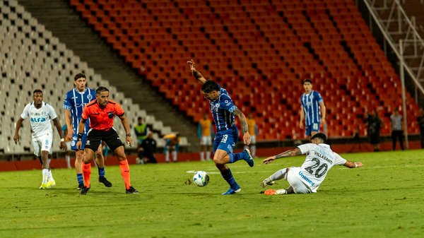 Wie kann man das Energieniveau von Haustieren effektiv managen?