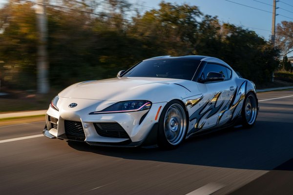 Wie wählt man das beste Haustier für ein aktives Familienleben aus?